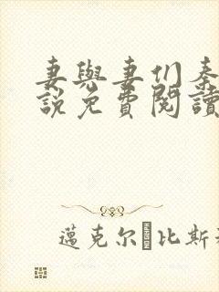 妻与妻们秦岚小说免费阅读最新章节