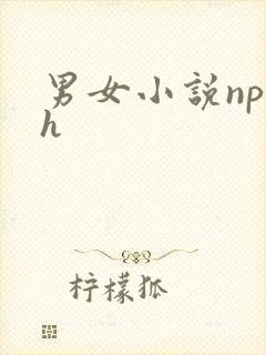 男女小说np高h