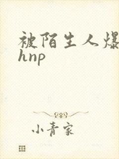 被陌生人爆c高hnp