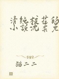 清纯校花的日常小说沈柔免费阅读