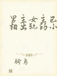 男主女主已婚互相出轨的小说封面