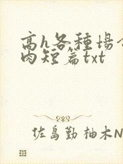 高h各种场合全肉短篇txt