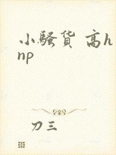 小骚货 高h np