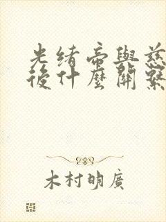 光绪帝与慈禧太后什么关系