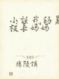 小说 我的美艳校长妈妈