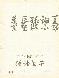 叶辰孙怡夏若雪完整版小说封面