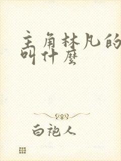 主角林凡的小说叫什么