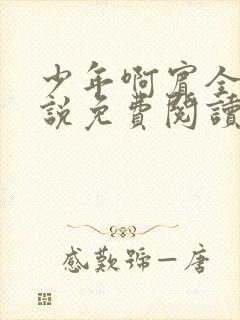 少年啊宾全文小说免费阅读笔趣阁