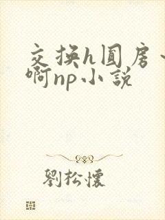 交换h圆房～嗯啊np小说