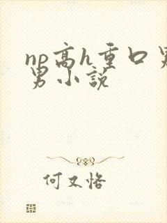np高h重口男男小说