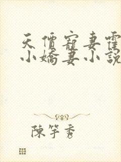 天价宠妻霍总的小娇妻小说