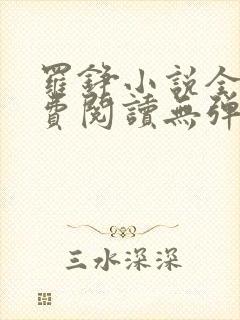 罗铮小说全文免费阅读无弹窗