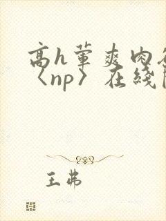 高h荤爽肉欲文〈np〉在线阅读