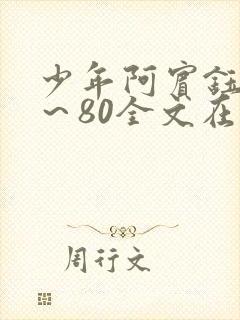 少年阿宾钰慧1～80全文在