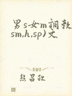 男s女m调教(sm,h,sp)文