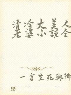清冷大美人是我老婆小说全文阅读