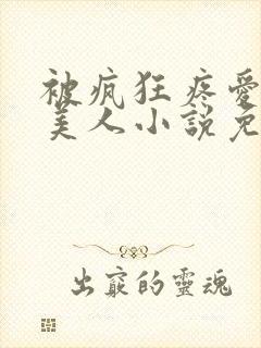 被疯狂疼爱的小美人小说免费阅读