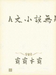 h文小说无删减封面