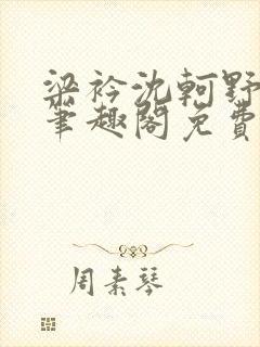 梁衿沈轲野小说笔趣阁免费