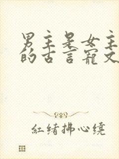 男主是女主继兄的古言宠文