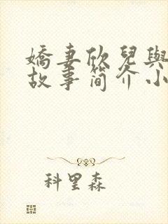 娇妻欣儿与老板故事简介小说