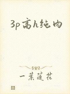 3p高h纯肉封面