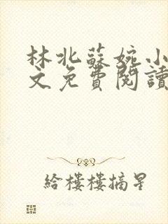 林北苏婉小说全文免费阅读最新章节