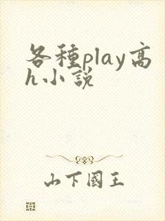 各种play高h小说