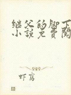 继父的脚下王浩小说免费阅读