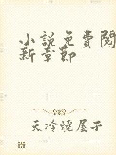 小说免费阅读最新章节