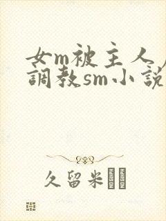 女m被主人虐玩调教sm小说封面