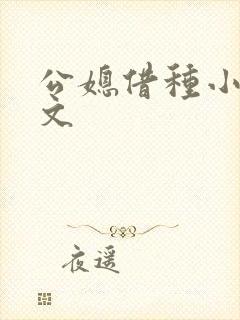 公媳借种小说h文封面