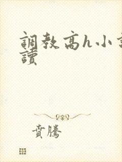 调教高h小说阅读封面