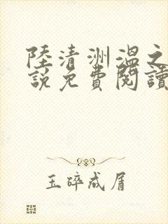 陆清洲温之夏小说免费阅读最新章节