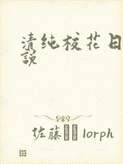 清纯校花日常小说封面