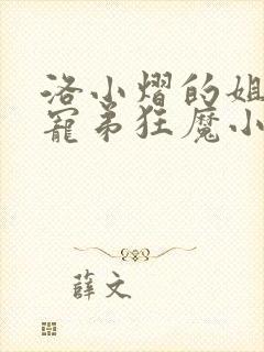 洛小熠的姐姐是宠弟狂魔小说封面