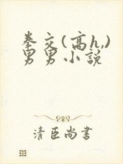 拳交(高h,)男男小说