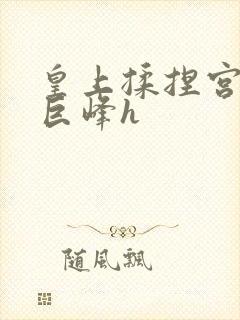 皇上揉捏宫女的巨峰h