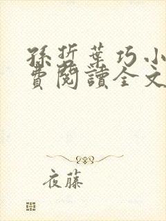 孙哲叶巧小说免费阅读全文封面