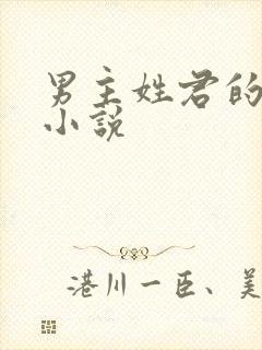 男主姓君的全部小说封面