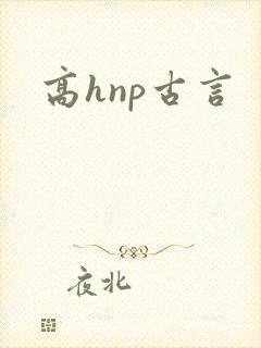 高hnp古言
