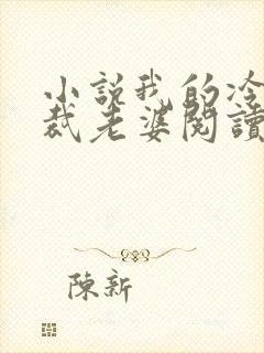 小说我的冷艳总裁老婆阅读