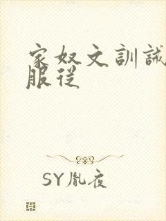 家奴文训诫sm服从封面