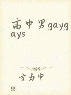 高中男gaygays