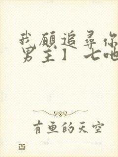 我愿追寻你【双男主】 七吔