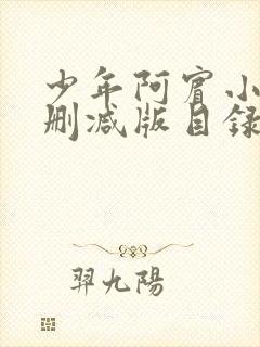 少年阿宾小说无删减版目录大全