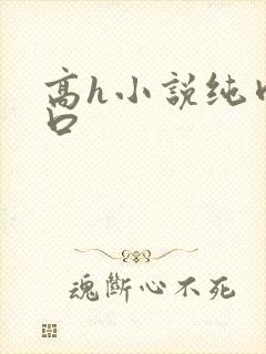 高h小说纯肉重口