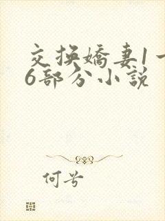 交换娇妻1一36部分小说
