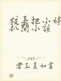 校长把小婷的腿扒开小说