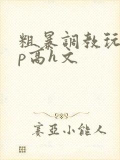 粗暴调教玩弄np高h文